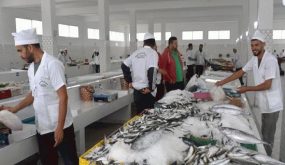 الدريوش تتعزز بافتتاح سوق جديد للسمك باستثمار إجمالي يفوق مليون درهم