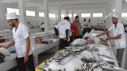 الدريوش تتعزز بافتتاح سوق جديد للسمك باستثمار إجمالي يفوق مليون درهم
