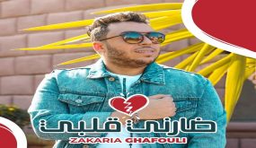 ضارني قلبي جديد (زكرياء الغافولي )