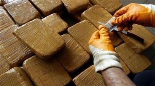 إحباط عملية تهريب مخدر” الشيرا” مرة أخرى بميناء طنجة المتوسط