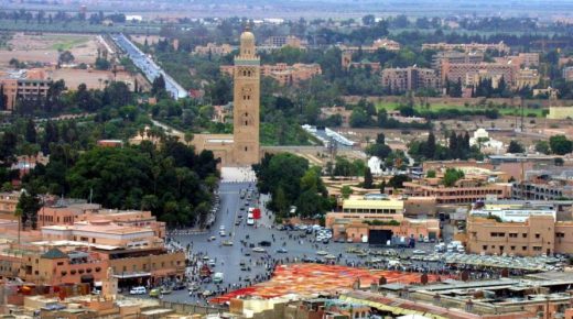 خبراء الزراعة في إفريقيا يلتئمون في مؤتمر “بيوكونرول أفريكا”