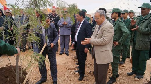 إنجاز مشروع الحزام الأخضر لغرس الأشجار بجماعة سيدي بوطيب ميسور