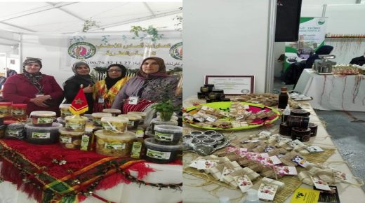 المهرجان الإقليمي للزيتون ينطلق في دورته الرابعة بتاونات