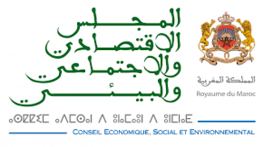 المجلس الاقتصادي والاجتماعي يدعو إلى توضيح العلاقات بين المصالح اللاممركزة والجماعات الترابية