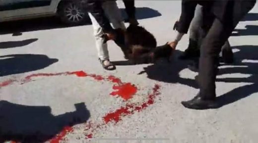 أحفير.. ذبح عتروس أسود لطرد النحس على مشاريع متعثرة
