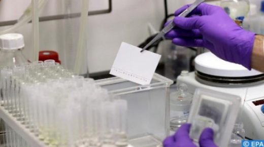 منظمة الصحة العالمية تطلق مبادرة عالمية لتسريع العمل على الأدوية والاختبارات واللقاحات المضادة لفيروس كورونا