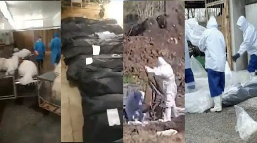 هل ينتقل فيروس كورونا من جثث الموتى ؟ منظمة الصحة العالمية تحسم الجدل