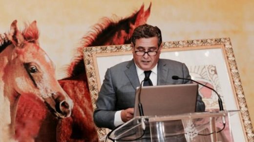 منح مساعدات للخيول في زمن جائحة كورونا، خبر لا أساس له من الصحة