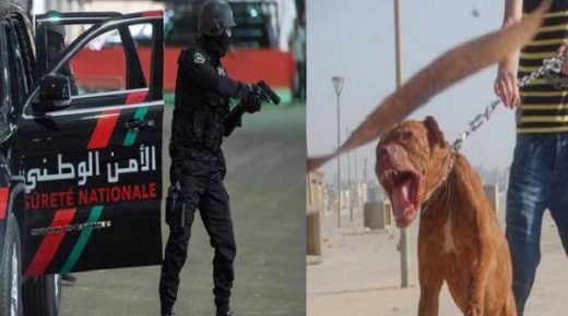 الأمن يدخل على خط فيديو يوثق لشخص هدد شرطي بواسطة كلب بالداخلة