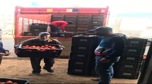 شباب يبادر إلى تمويل السوق الداخلي بالخضر بمدينة الداخلة