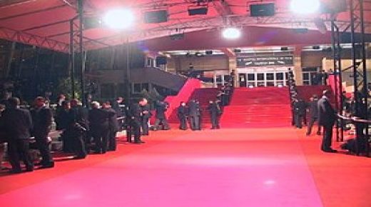 مهرجانات سينمائية فى طريقها للإنطلاق مع إتخاذ التدابير اللازمة