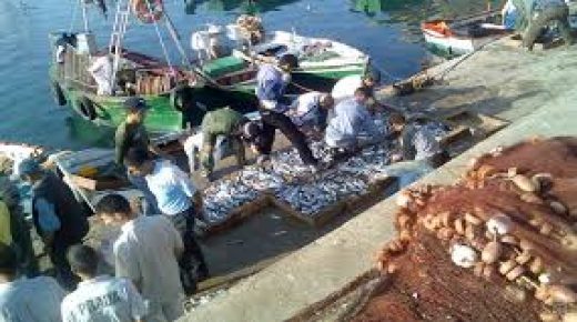 الفاعلون في قطاع الصيد البحري بميناء طنجة يخضعون للتحاليل المخبرية الخاصة بفيروس