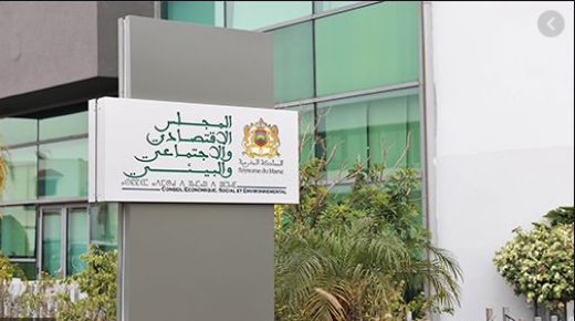 النقاط الرئيسية في رأي المجلس الاقتصادي والاجتماعي والبيئي حول السلامة الصحية للأغذية