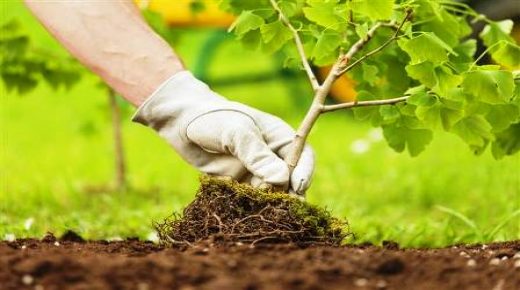 مجلس شبكة الوكلاء الأوروبيين من أجل البيئة يصادق على طلب منح المملكة المغربية صفة عضو ملاحظ
