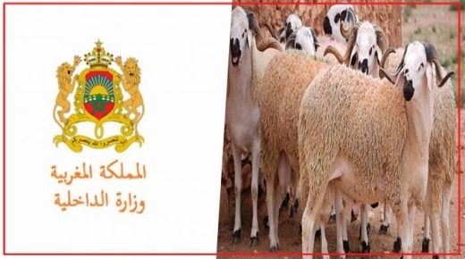 وزارة الداخلية تتخذ جملة من الإجراءات لتنظيم عمليات ذبح الأضاحي