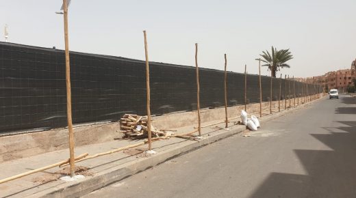 مجلس مقاطعة المنارة بمراكش يطلق مجموعة من المشاريع الرياضية