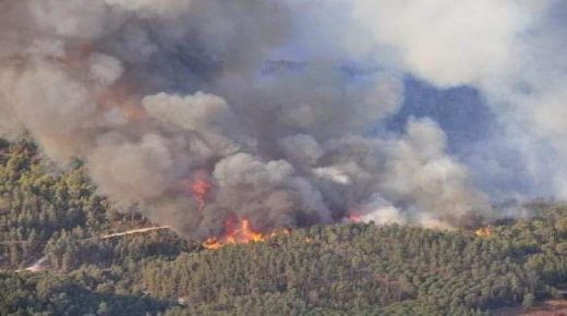 مراكش: نشوب حريق بغابة بمنطقة أوريكا