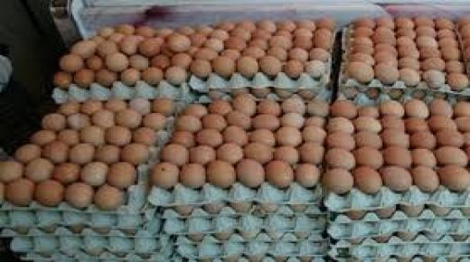 جائحة كورونا تكبد قطاع إنتاج بيض الاستهلاك بالمغرب خسائر تقدر ب 5ر3 مليون درهم في اليوم