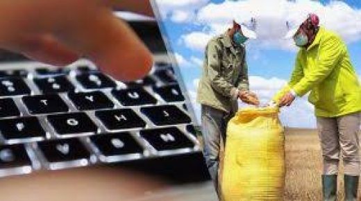 إطلاق منصة إلكترونية مخصصة لإيداع ملفات طلب الإعانات الفلاحية