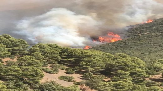 نشوب حريق ضخم بإحدى الغابات باقليم الحوز