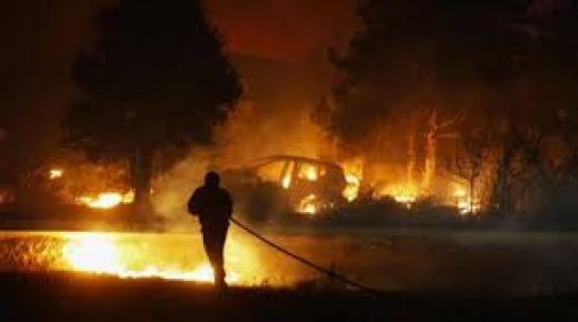 النيران تدمر أكثر من 600 هكتار من الغابات الجزائرية