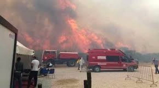 جهود متواصلة للسيطرة على حريق بغابة حوز الملاليين بعمالة المضيق-الفنيدق