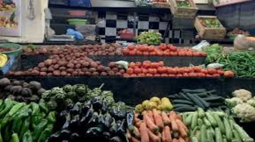 نباتيو المغرب ينظمون مهرجانا رقميا