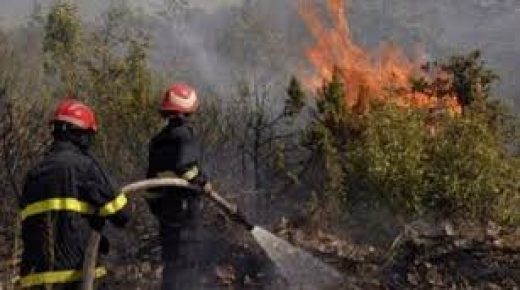السيطرة شبه نهائيا على حريق غابة حوز الملاليين بعمالة المضيق-الفنيدق