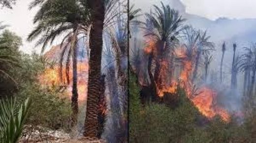 إقليم تزنيت.. إخماد حريق في واحة آيت منصور قرب مدينة تافراوت
