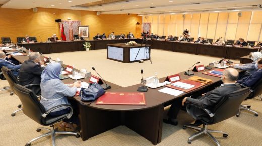 مجلس إدارة الوكالة الوطنية لمحاربة الأمية يصادق على برنامج عمل الوكالة وميزانيتها برسم 2021