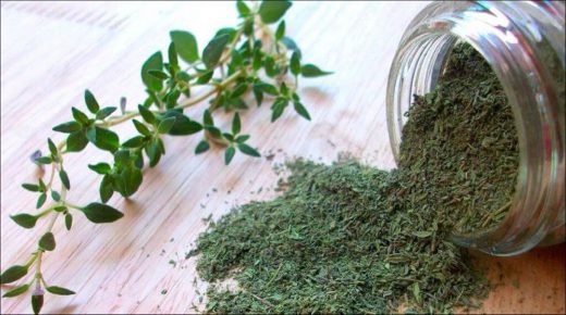 فوائد الزعتر لصحتك عديدة أبرزها علاج السعال ورائحة الفم الكريهة