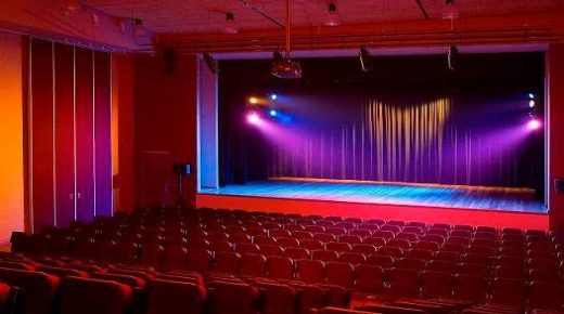 المديرية الجهوية للثقافة بمراكش برمجت أزيد من 40 نشاطا عن بعد خلال شهر غشت
