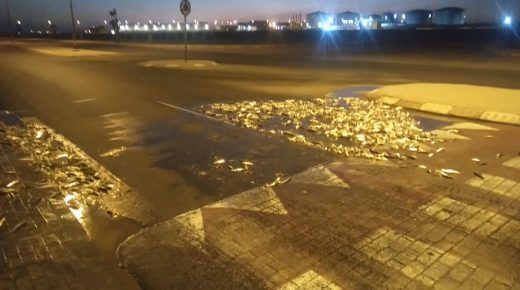 إقليم وادي الذهب يعاني من استنزاف خطير للثروة السمكية،
