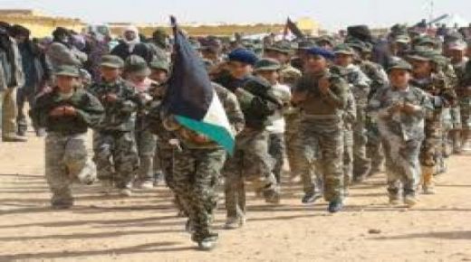 مرصد الصحراء للسلم و الديمقراطية و حقوق الانسان يستنكر استغلال ”البوليساريو”للاطفال