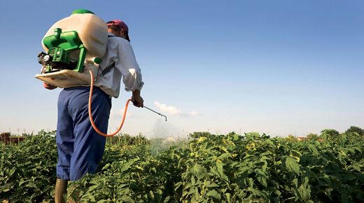 انطلاق الموسم الفلاحي الجديد وسط تخوف الفلاحين من ارتفاع أسعار المبيدات