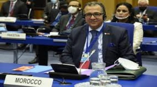 المغرب يدعو إلى إجراءات ملموسة ومنسقة ضد الجريمة عبر الوطنية