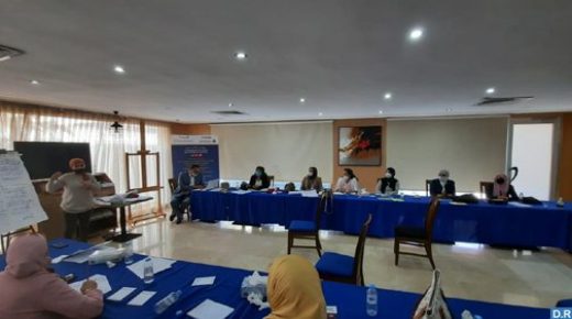 ورشة عمل لمواكبة النساء الموظفات وعضوات هيئات المساواة وتكافؤ الفرض بالجماعات الترابية بالصويرة واسفي