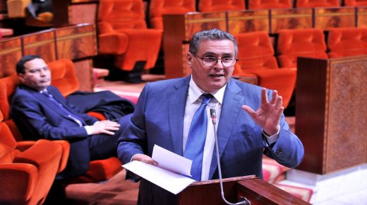 استعدادا للموسم الفلاحي الحالي.. تأمين 1,6 مليون قنطار من البذور