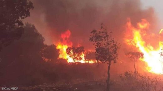 الجزائر.. وفاة شخصين بحرائق للغابات في 10 ولايات