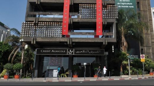 القرض الفلاحي للمغرب يعبئ 8 مليارات درهم للموسم الفلاحي 2021/2020