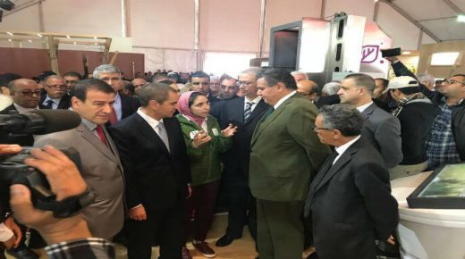 العطاوية: “كورونا” تلغي الملتقى الوطني للزيتون