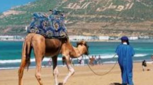 تراجع طفيف في وتيرة انخفاض المداخيل السياحية في شتنبر