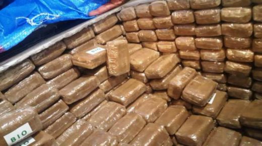 إجهاض محاولة لتهريب طنين و360 كيلوغراما من مخدر الشيرا بميناء الدار البيضاء