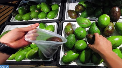 epa07591307 A customer bags avocados at a supermarket in Hanoi, Vietnam, 22 May 2019. Vietnam is formulating a plan to export avocados to the United States, after U.S. President Donald Trump threatened to close the US border with Mexico. EPA-EFE/LUONG THAI LINH