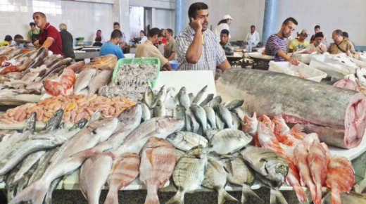 صادرات المنتوجات البحرية تسجل ارتفاعا بنسبة 7%