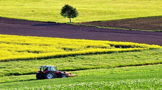 أشغال توزيع الزراعات مستمرة وفقا للبرامج المحددة وتسجيل منحى إيجابي للصادرات