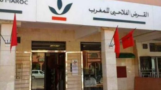القرض الفلاحي للمغرب وكومادير يوحدان جهودهما لدعم ريادة الأعمال لدى الفلاحين الشباب
