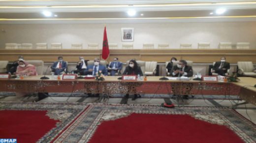 وزيرة السياحة تقوم بزيارة ميدانية لعدد من المواقع السياحية بسيدي إفني وكلميم
