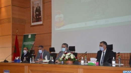 أكادير : إعطاء الانطلاقة للمرحلة الثانية من المباراة المغربية الرابعة للمنتجات المجالية
