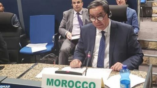 المغرب يدعو إلى اعتماد استراتيجية إفريقية للتعليم